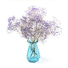 Colorful Elegant Good Design Cylinder Clear Flower Glass Vase, Glass Art Vase, Colored Glass Vases